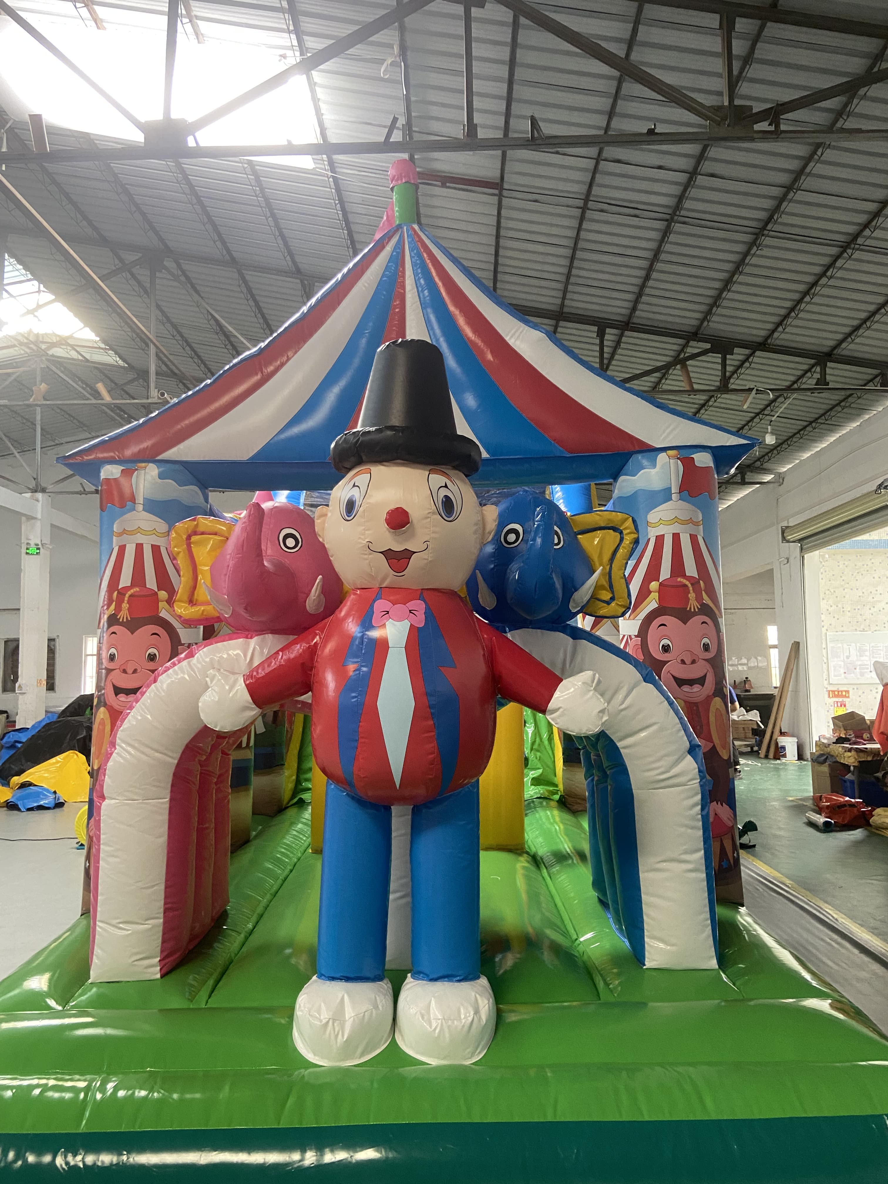 Birthday party inflatables