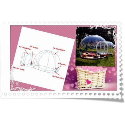 By camping in the transparent bubble tent