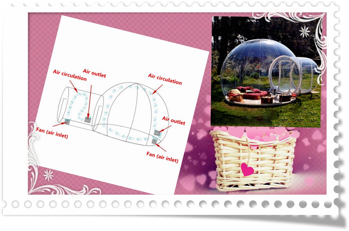 Luxury Transparent Glamping Dome