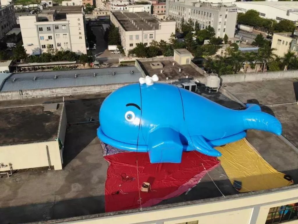 Inflatable slides Shark Tents