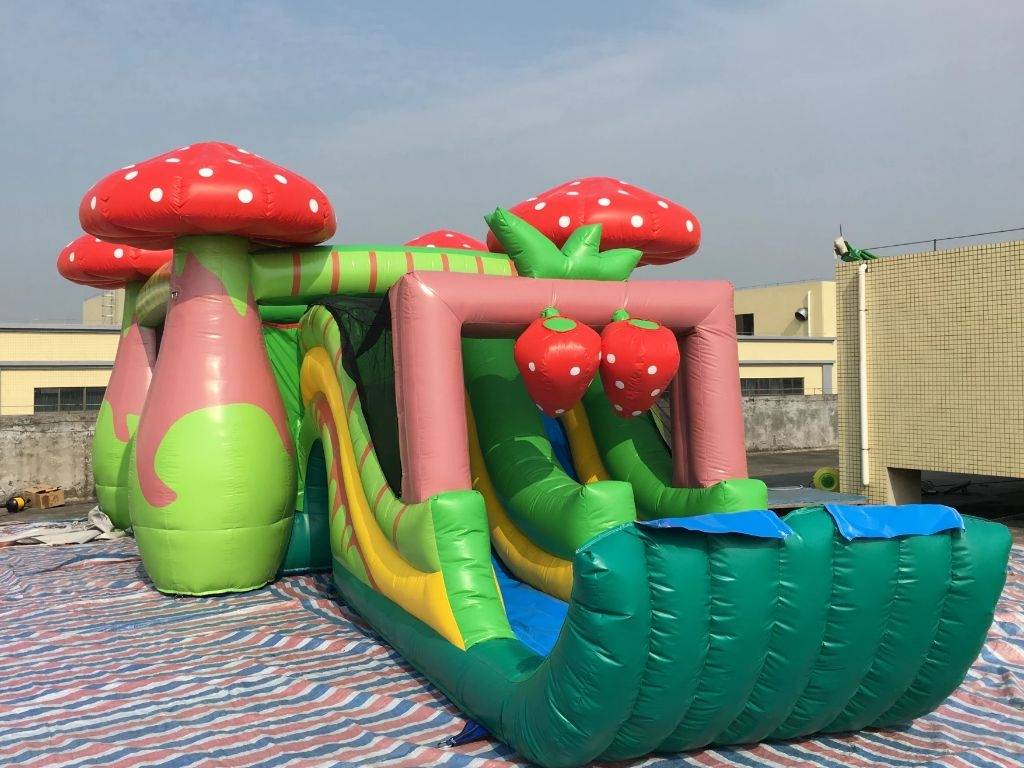 Inflatable Mushroom bounce