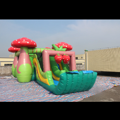 3 in 1 inflatable Strawberry Combo