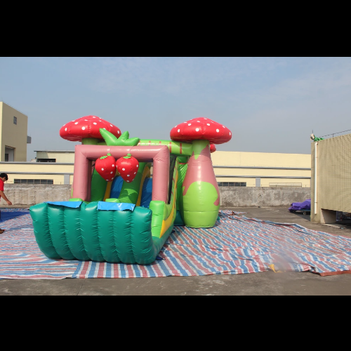 inflatable Strawberry Combo Double Lane