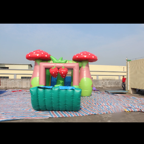 inflatable slide and bouncers