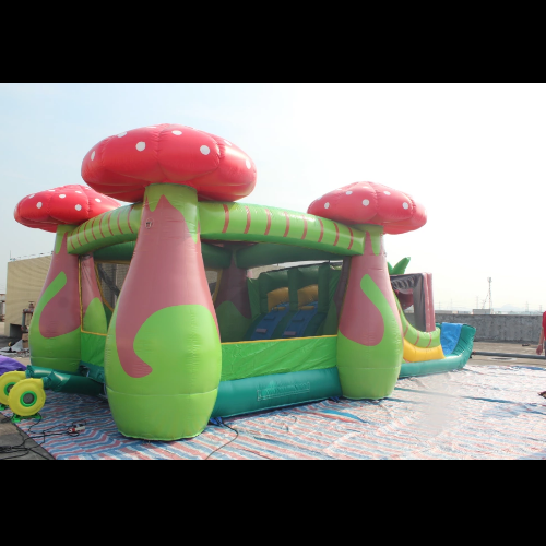 inflatable slide and bouncers