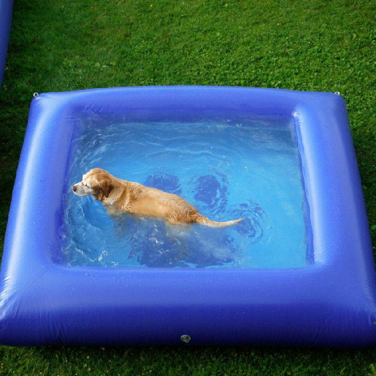 inflatable dog pool