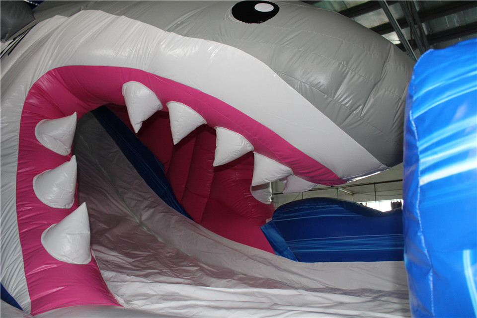 Shark water Slide