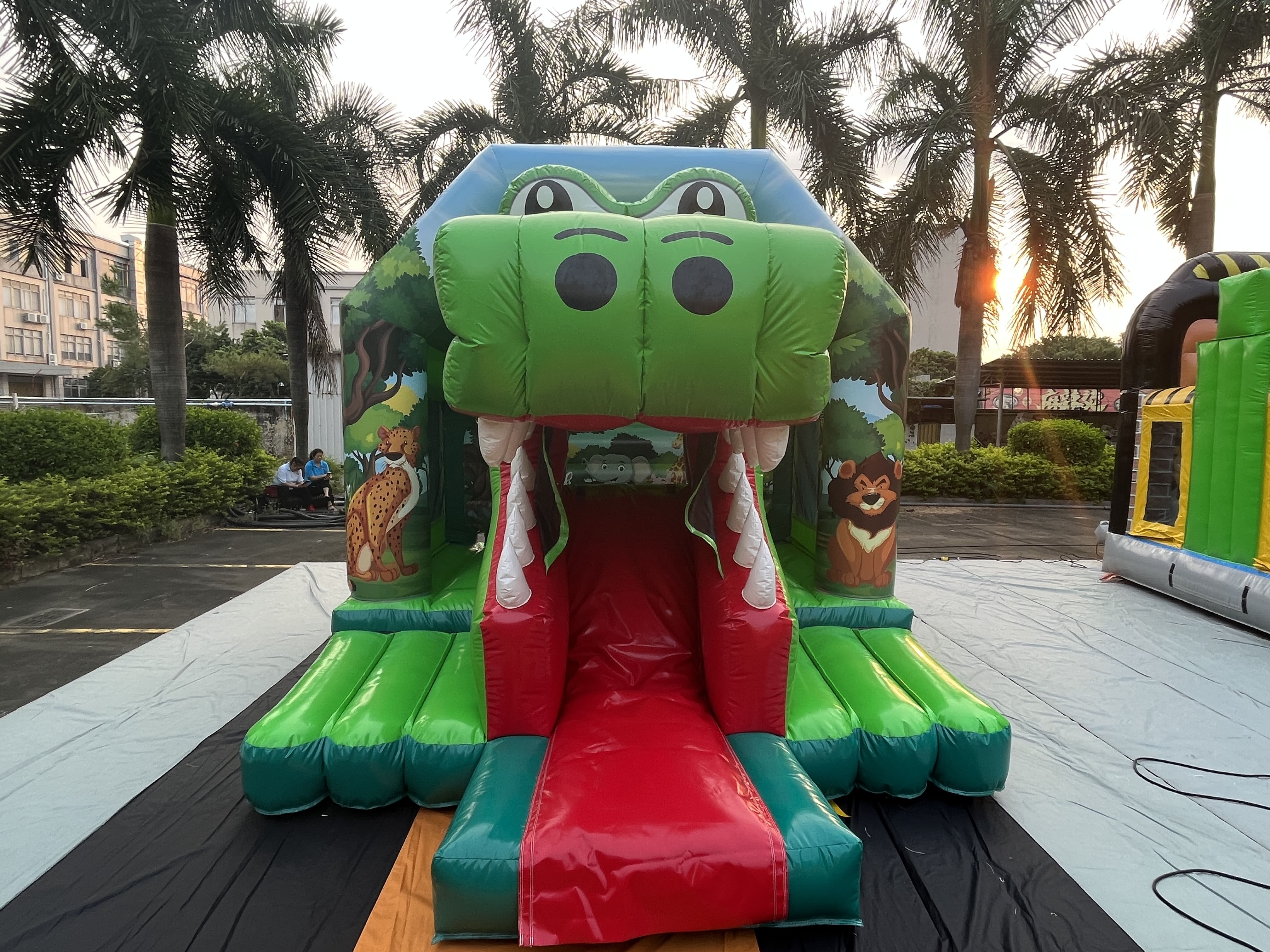 Outdoor Inflatable Bounce and Slide Play Equipment