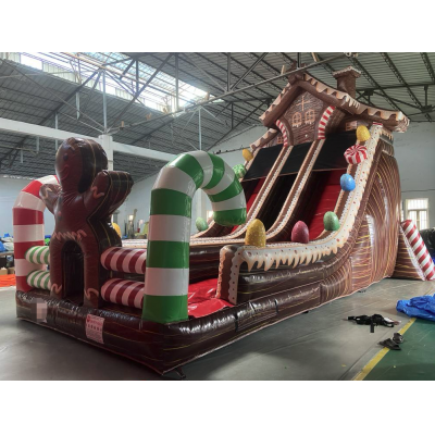 9X4.2X6M Inflatable ​​Christmas Themed Bounce Castle with Dual Slides